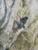 [thumbnail of Picture 23]