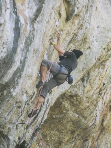 Image0088.web.jpg