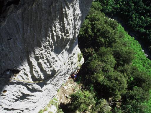 Image0006.web.jpg