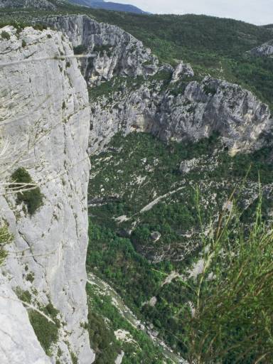 Image0010.web.jpg