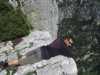 [thumbnail of Picture 7]