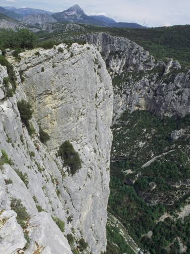Image0012.web.jpg