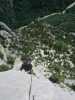 [thumbnail of Picture 13]