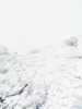 [thumbnail of Picture 17]