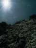 [thumbnail of Picture 18]