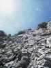 [thumbnail of Picture 19]