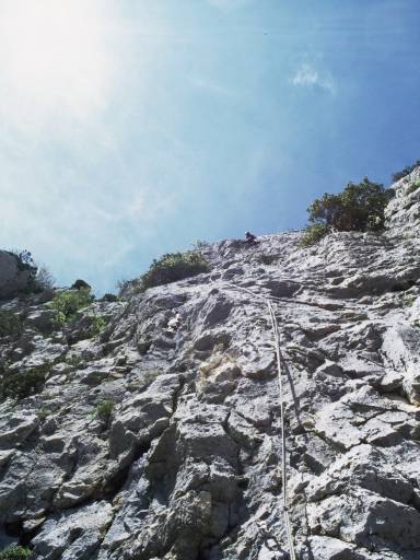 Image0023.web.jpg