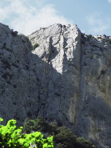 Image0033.web.jpg