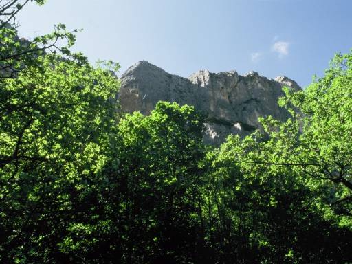 Image0035.web.jpg