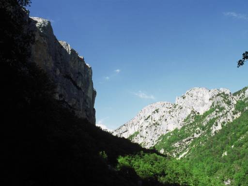Image0036.web.jpg
