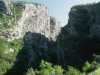 [thumbnail of Picture 33]
