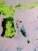 [thumbnail of Picture 2]