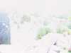 [thumbnail of Picture 4]