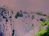 [thumbnail of Picture 5]