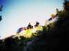 [thumbnail of Picture 6]