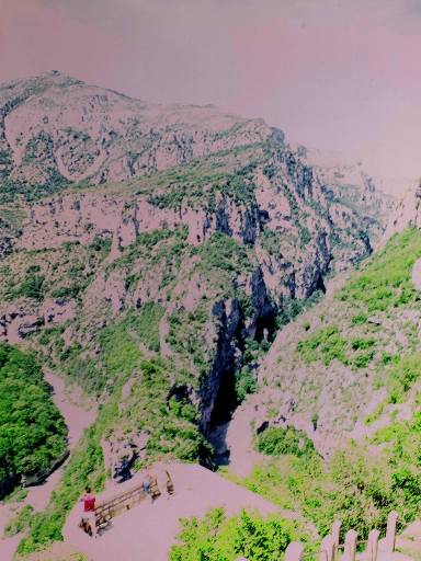 Image0050.web.jpg