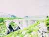 [thumbnail of Picture 8]