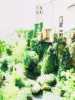 [thumbnail of Picture 9]