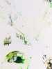 [thumbnail of Picture 10]