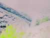 [thumbnail of Picture 11]