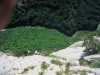 [thumbnail of Picture 15]