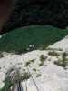 [thumbnail of Picture 16]