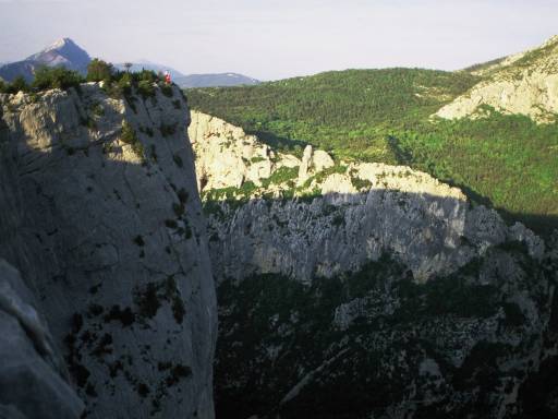 Image0066.web.jpg