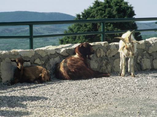 Image0069.web.jpg