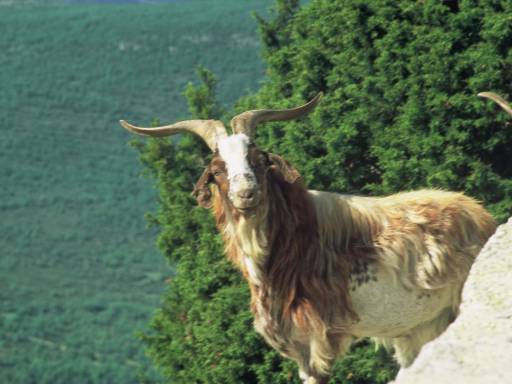 Image0070.web.jpg