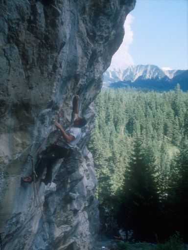 Image0328.web.jpg