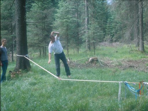 Image0334.web.jpg