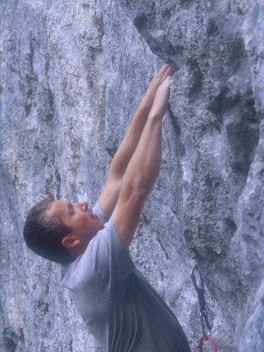 [thumbnail of Picture 1]