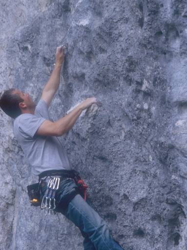 [thumbnail of Picture 3]