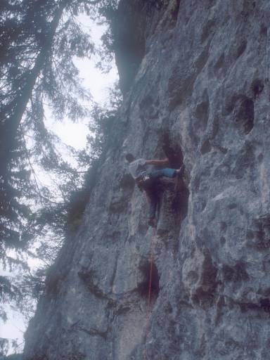 [thumbnail of Picture 4]