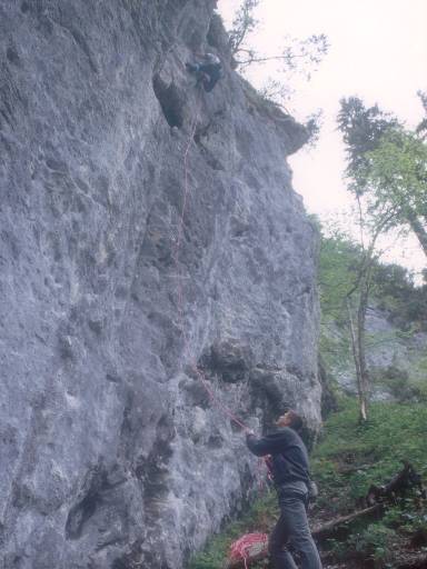 [thumbnail of Picture 5]