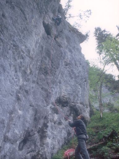 ImageImage1076.web.jpg