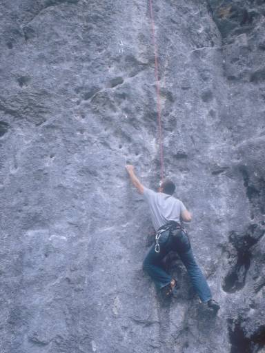 [thumbnail of Picture 6]