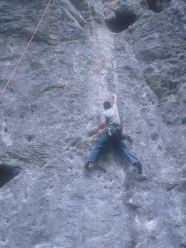 [thumbnail of Picture 7]