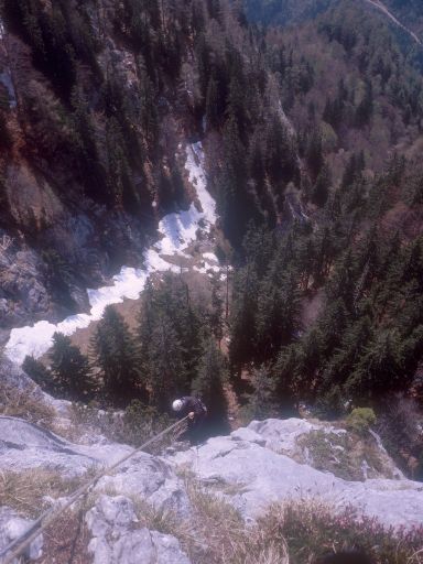Image1115.web.jpg