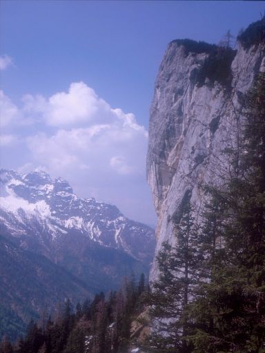 Image1117.web.jpg