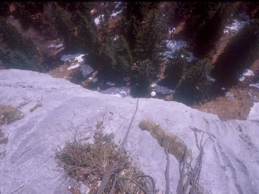 [thumbnail of Picture 6]