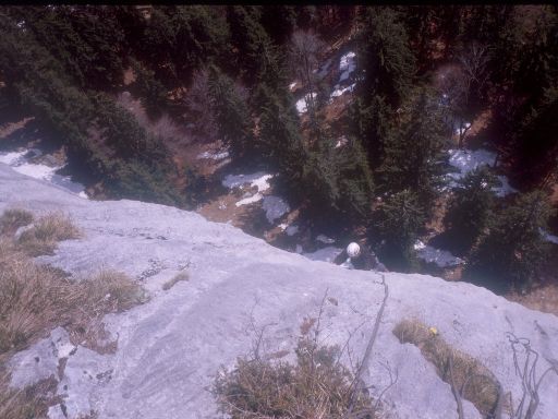 Image1120.web.jpg