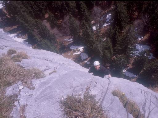 [thumbnail of Picture 8]