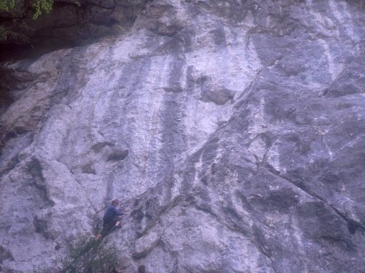 Image1124.web.jpg