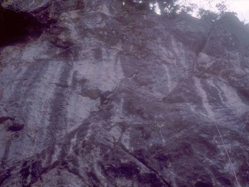 [thumbnail of Picture 3]