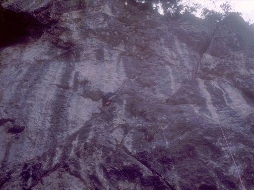 Image1126.web.jpg