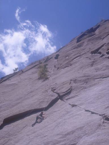 [thumbnail of Picture 5]
