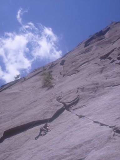 ImageImage1141.web.jpg