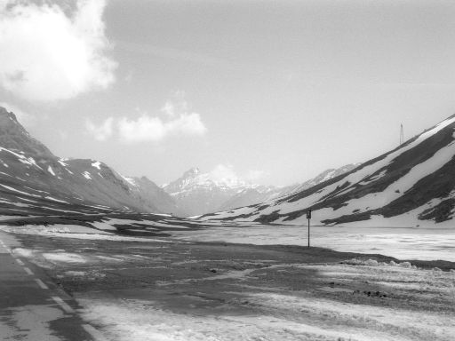 ImageImage1099.web.jpg