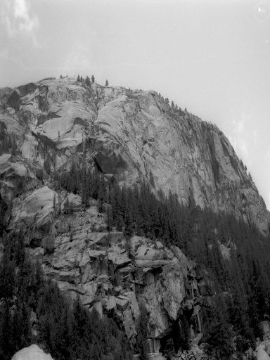 ImageImage1101.web.jpg